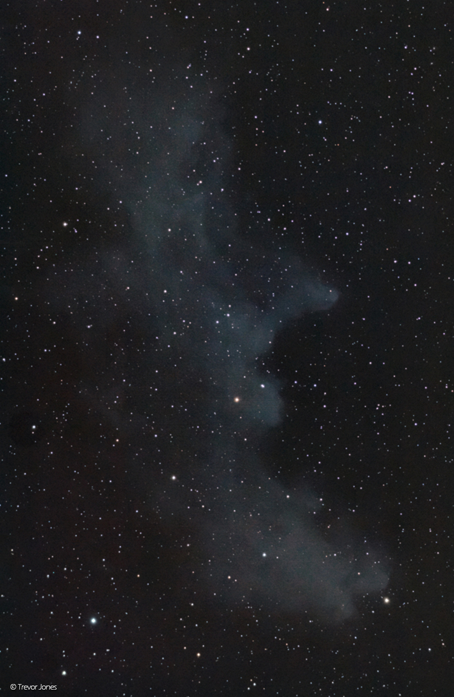 Capturing the Witch Head Nebula in Orion