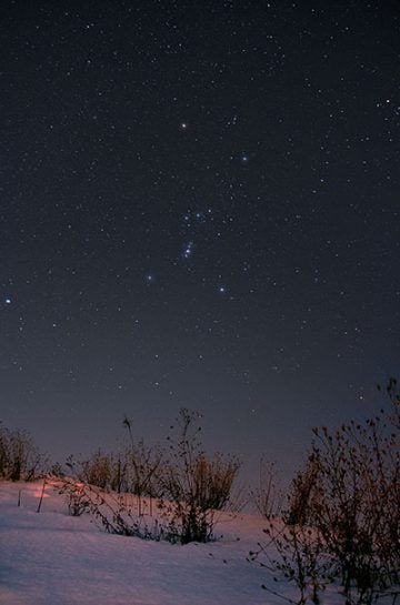Astrophotography image of the Orion constellation