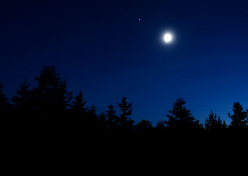 Moonlight in the sky