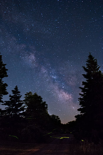 The Milky Way