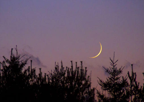 Waxing Crescent Moon