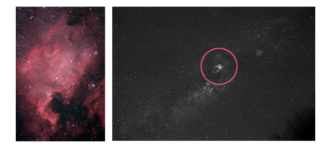 How to find the North America Nebula