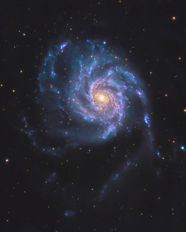 the pinwheel galaxy