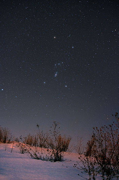 The Orion Constellation