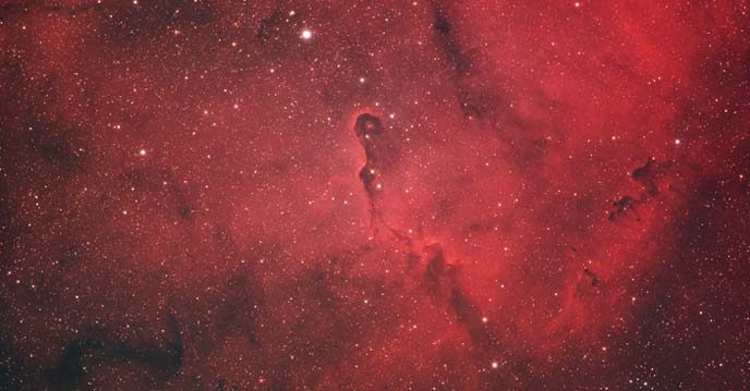 Photographing the Elephant's Trunk Nebula | AstroBackyard