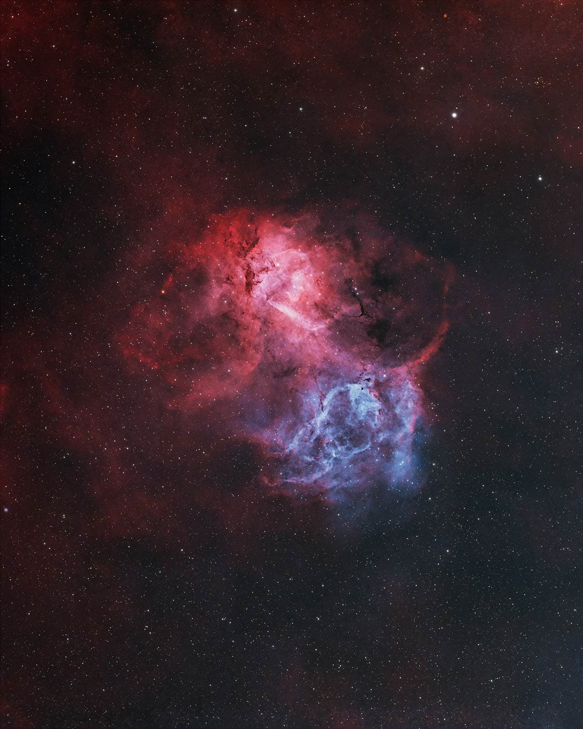The Lion Nebula