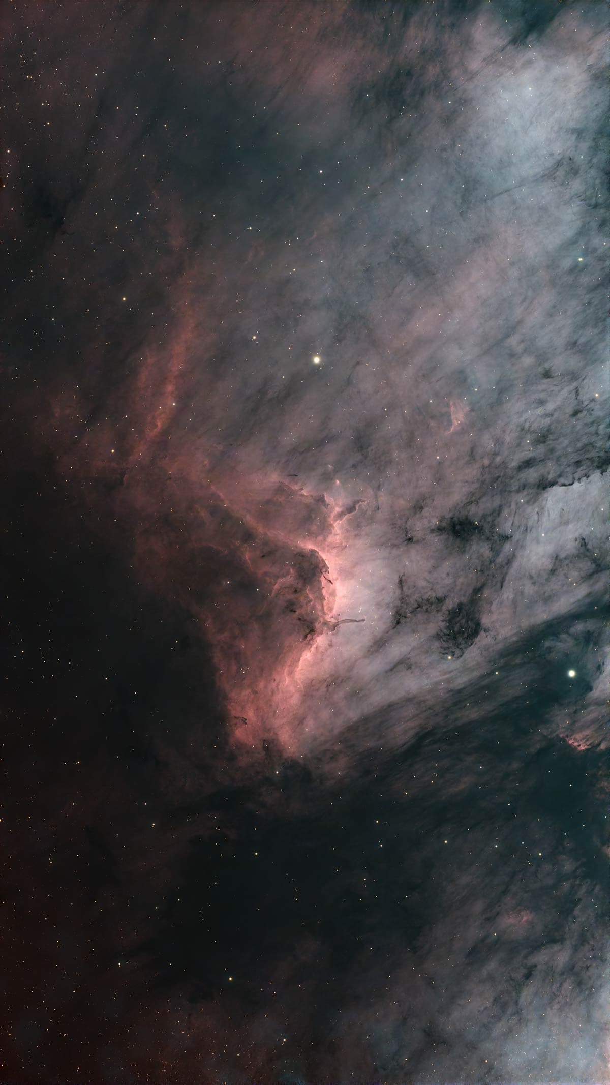 Pelican Nebula