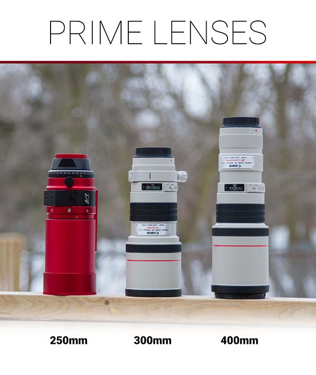 prime lenses