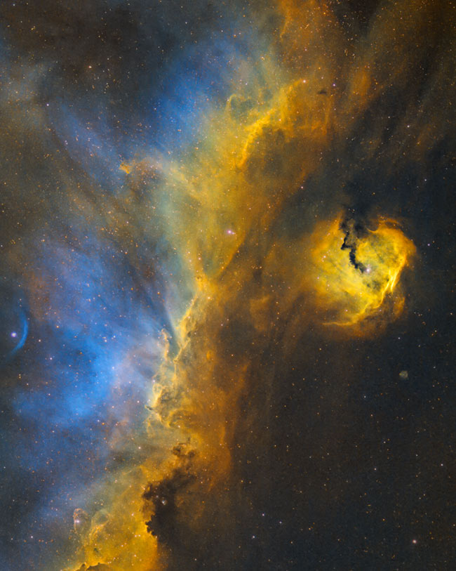 Seagull Nebula SHO