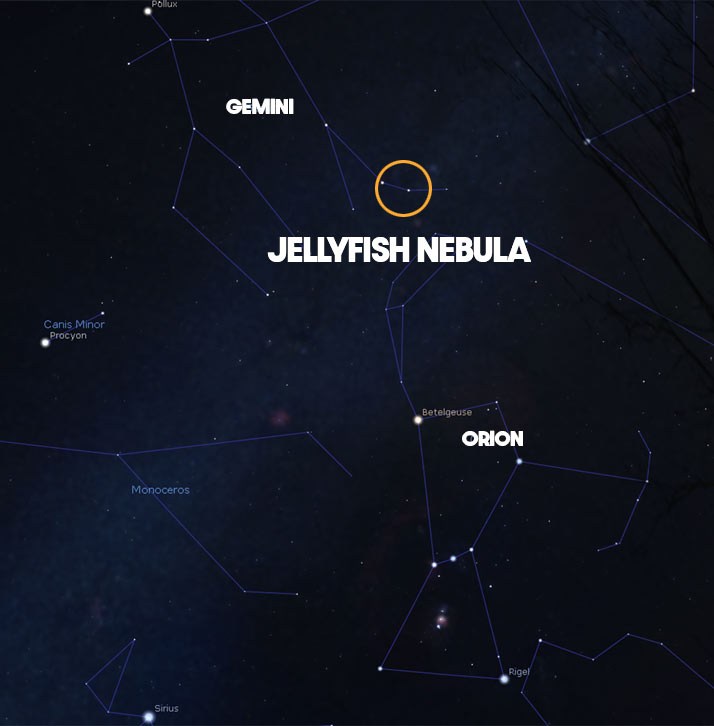 jellyfish nebula location