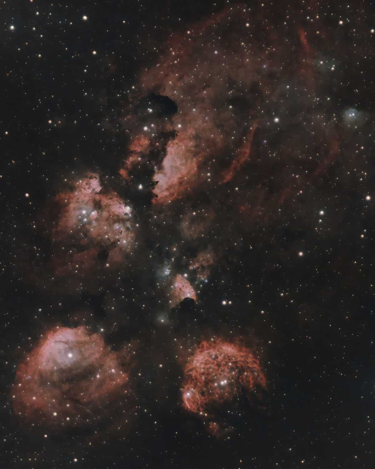Ashley Cat's Paw Nebula