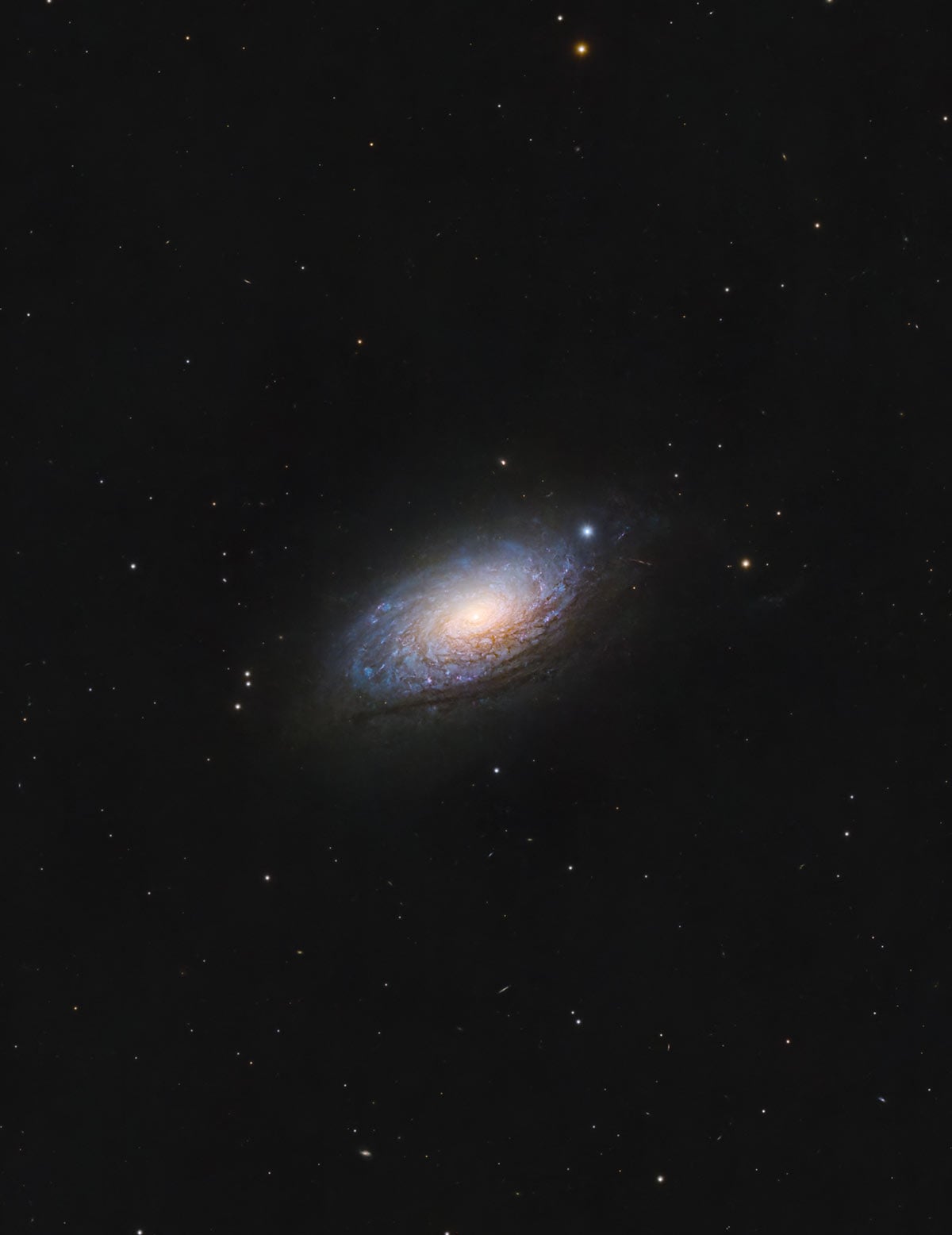 Sunflower Galaxy