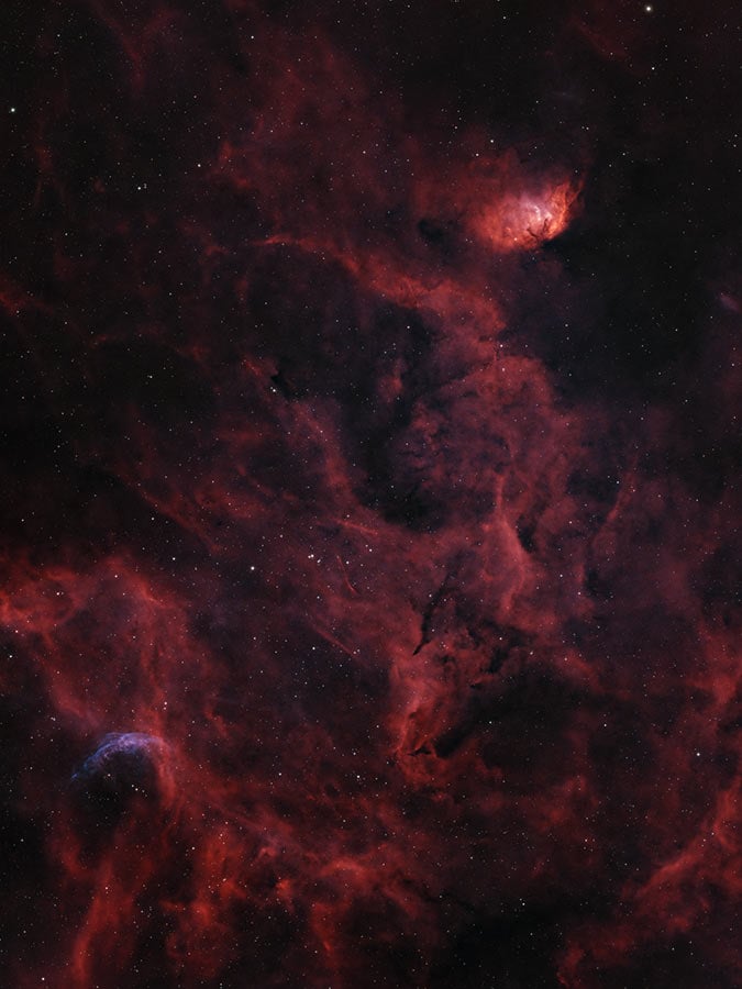 Tulip Nebula