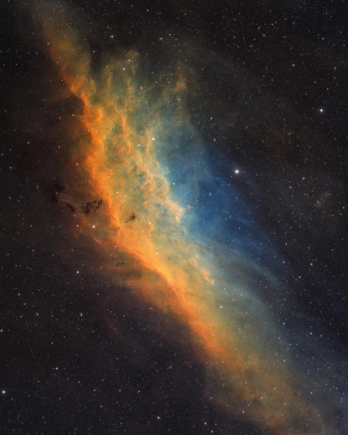 California Nebula