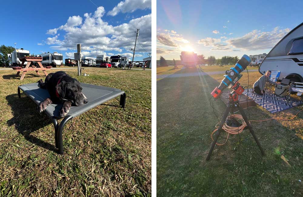 Relaxing dog on a cot at an RV park during daytime, scenic outdoor setting with clouds and blue sky.