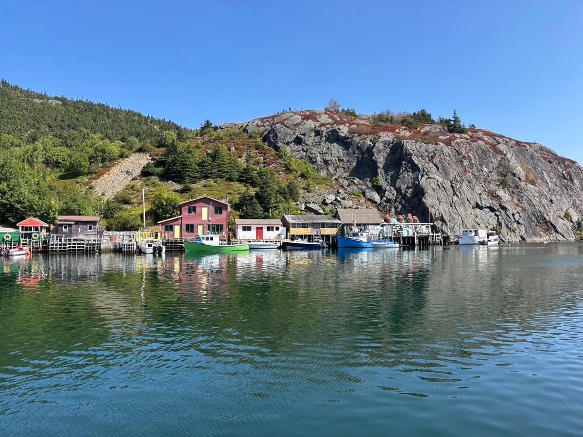 Quidi Vidi