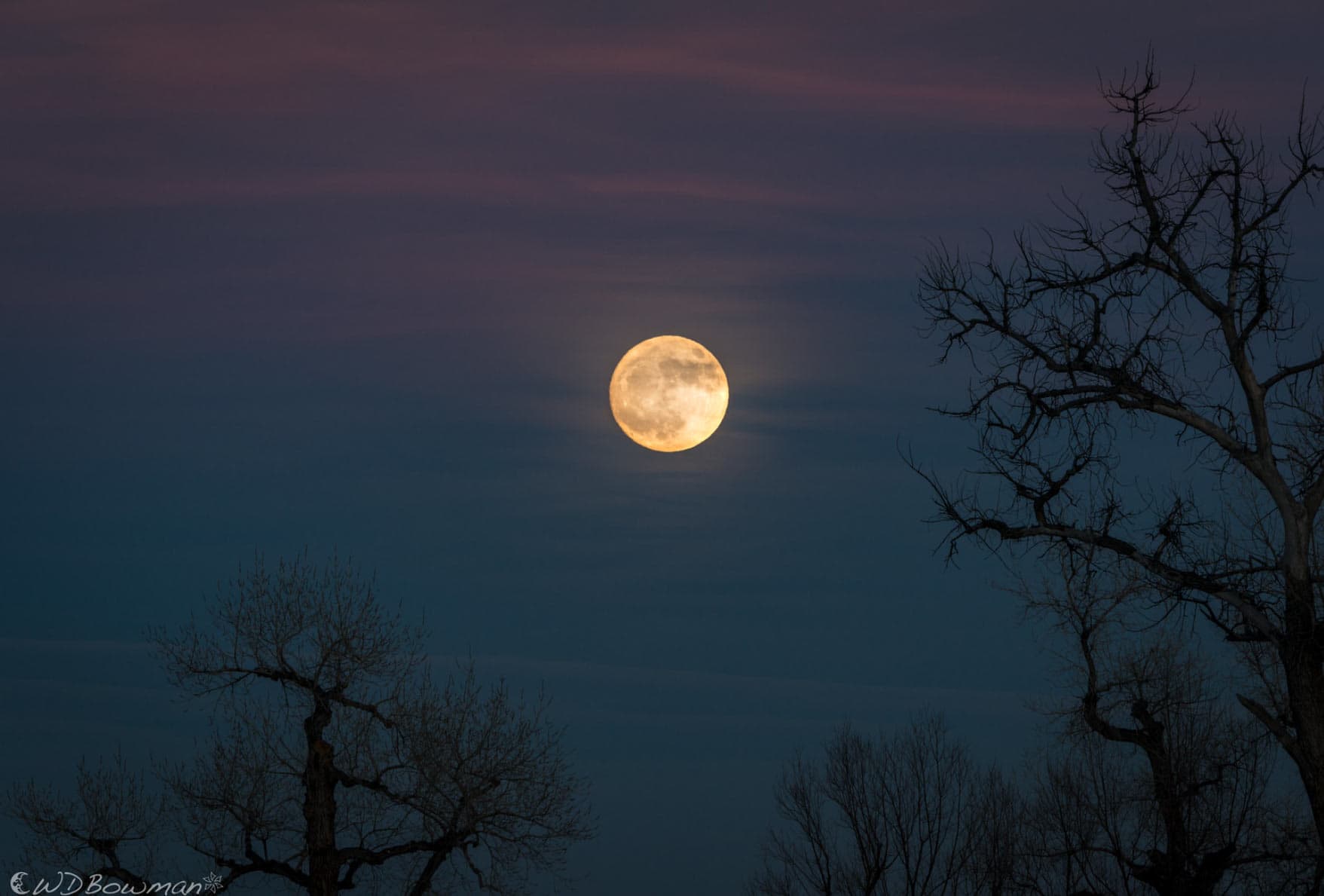 cold moon in December