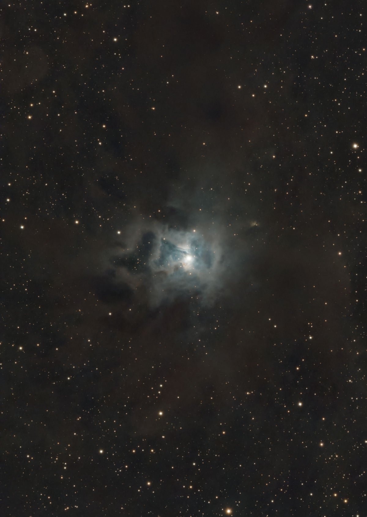 Iris Nebula broadband image test