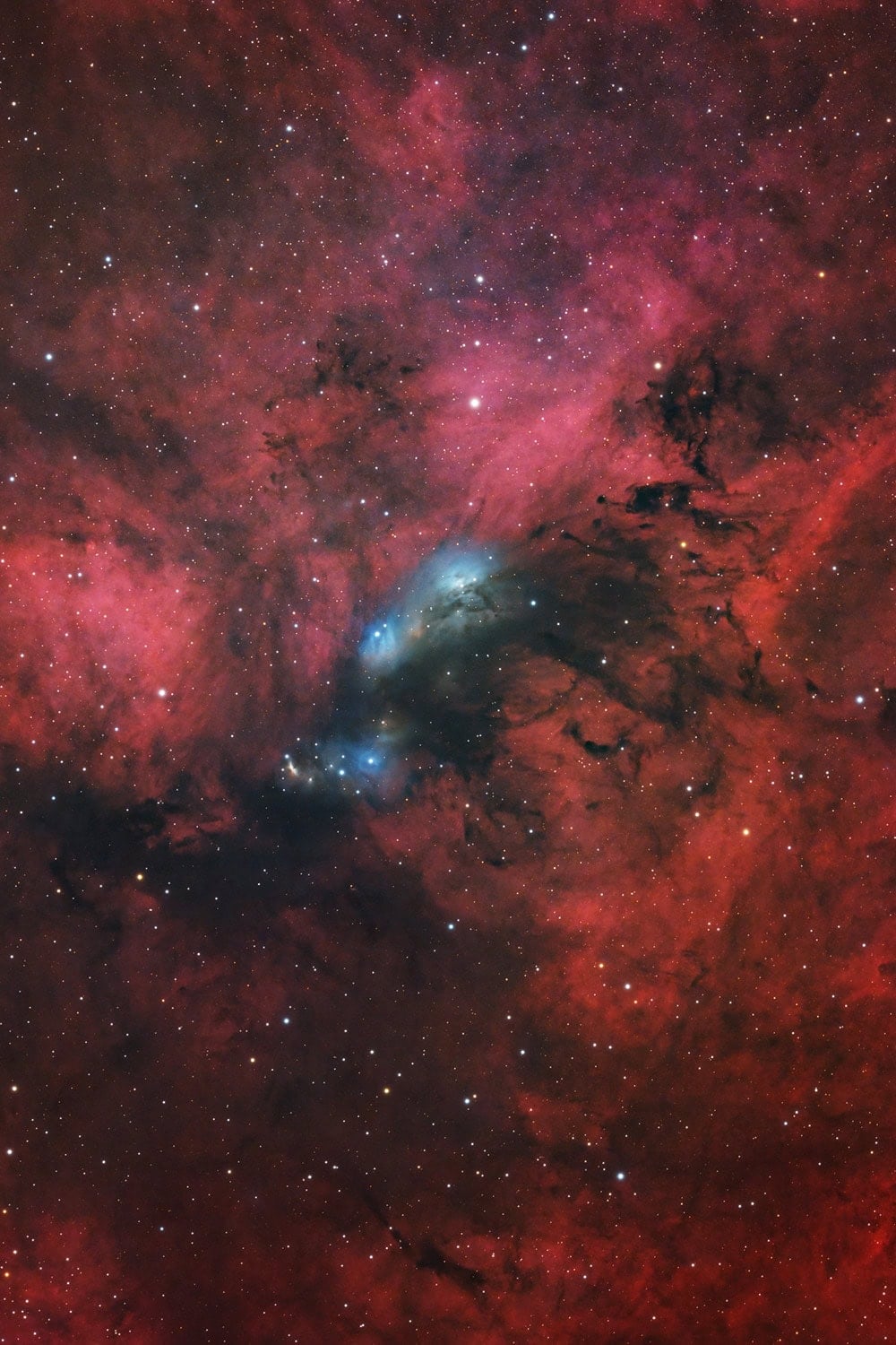 Dark Nebula - LDN 89