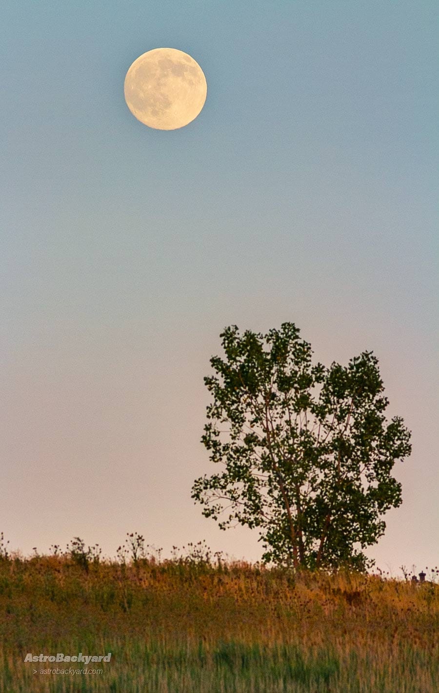 A waxing gibbous moon rising in the evening sky