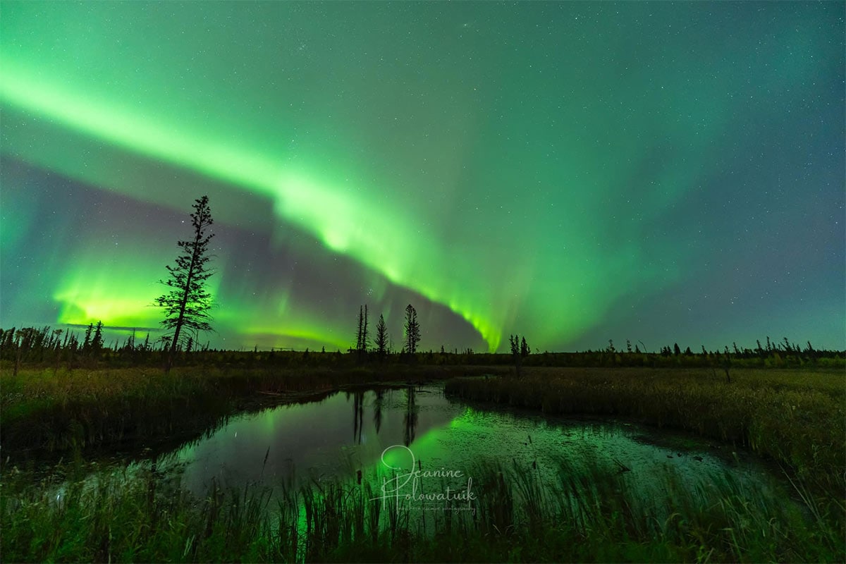 jeanine holowatuik aurora