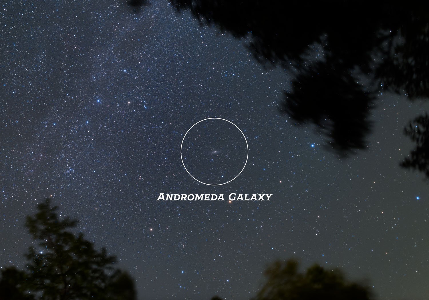 The Andromeda Galaxy location in the night sky