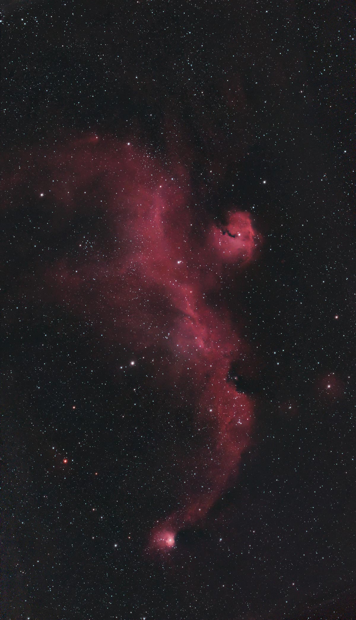 Seagull Nebula with the Seestar S30 Pro