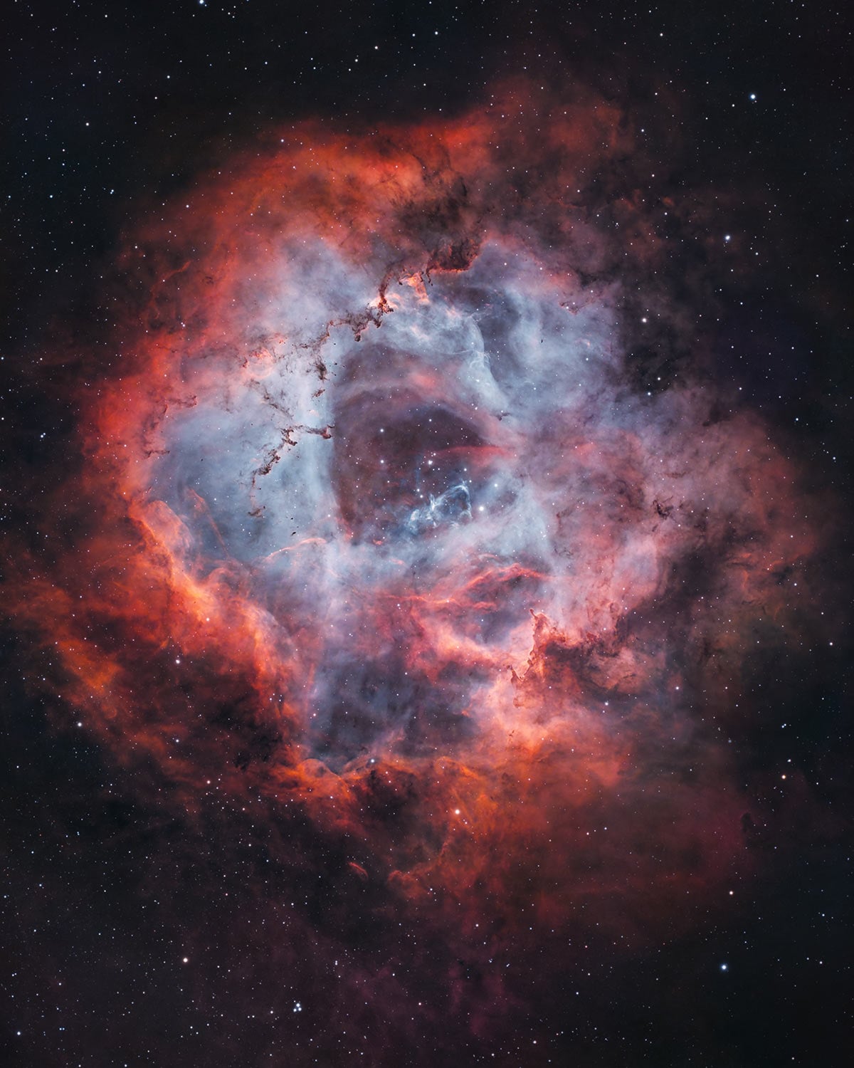 Rosette Nebula