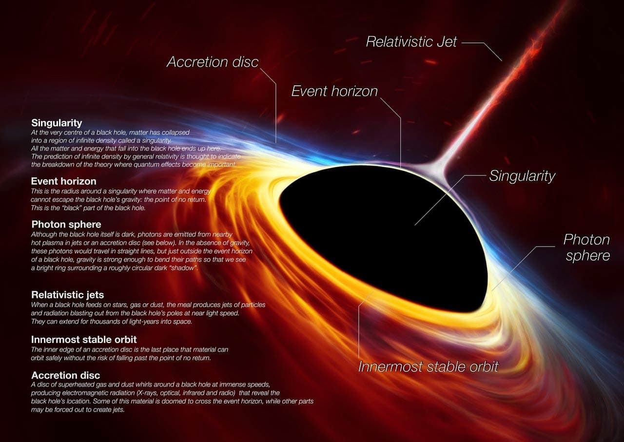 Black hole anatomy