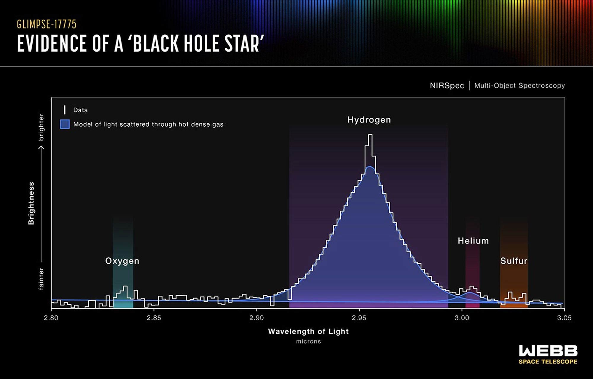 Evidence of a Black Hole Star