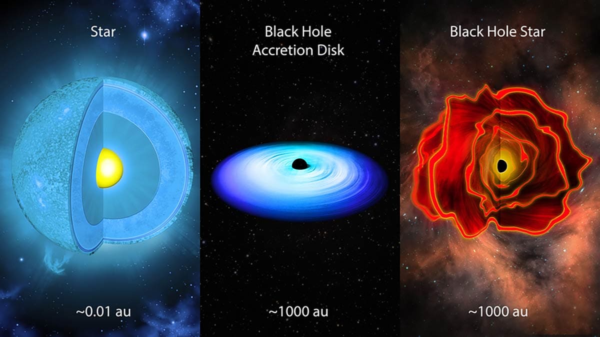 MIT black hole star discovery