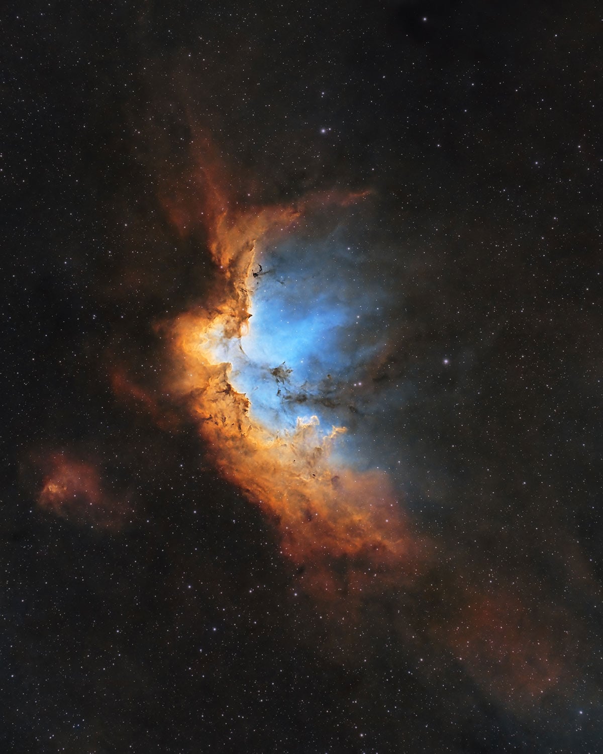 Wizard Nebula astrophotography image